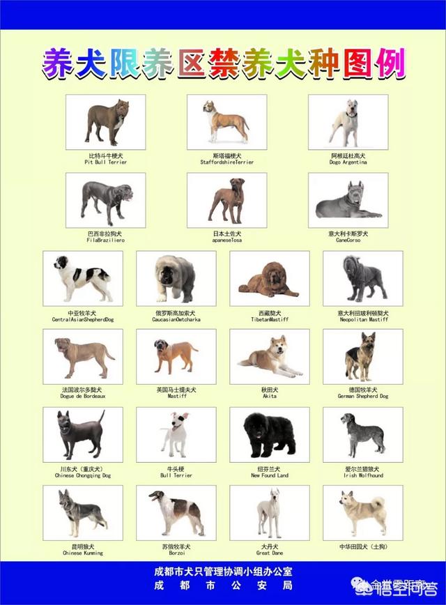 成都社区免费狗狗打疫苗(成都社区免费狗狗打疫苗22年) - 警犬训练器材厂家 _警犬训练用品_工作犬训练用品-南京开久警犬装备-警犬训练器材厂家 _警犬训练用品_工作犬训练用品-南京开久警犬装备