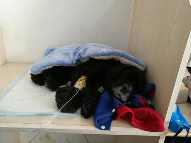 20221119162223_44210