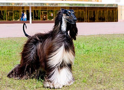 20221119164328_38501 20221119164328_38501