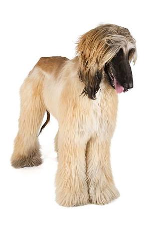 20221119164328_85863 20221119164328_85863