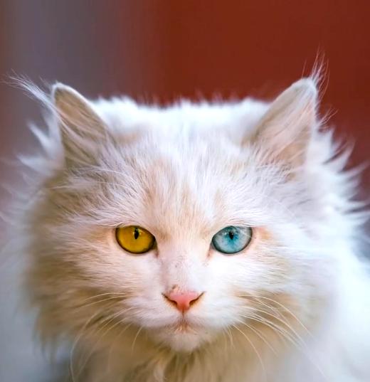 20221119172917_47988