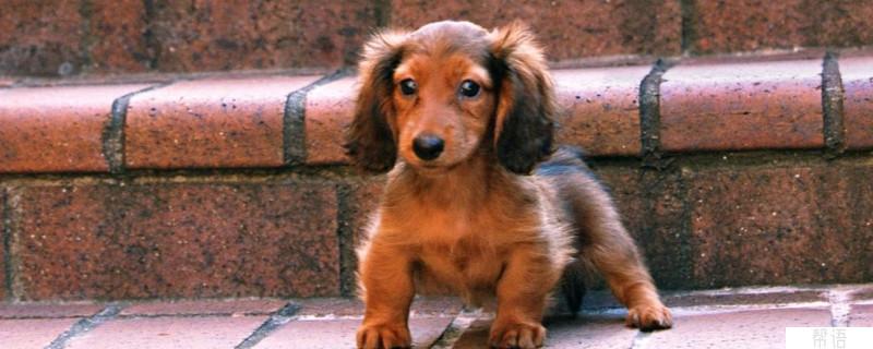 20221119180423_78984 20221119180423_78984