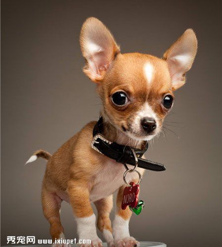 20221119184239_54647 20221119184239_54647