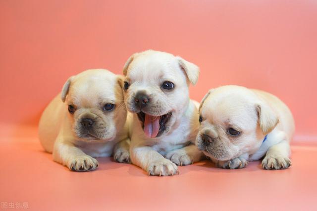 20221119184537_26931