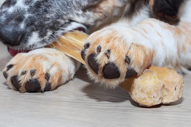 20221119184537_94842