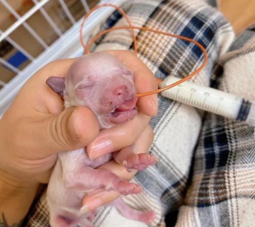 20221119185724_61243 20221119185724_61243