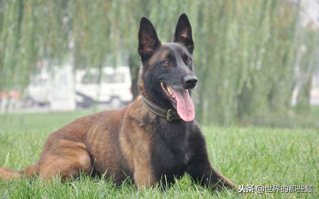 20221119192605_75072 20221119192605_75072