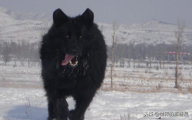 20221119192605_77536 20221119192605_77536