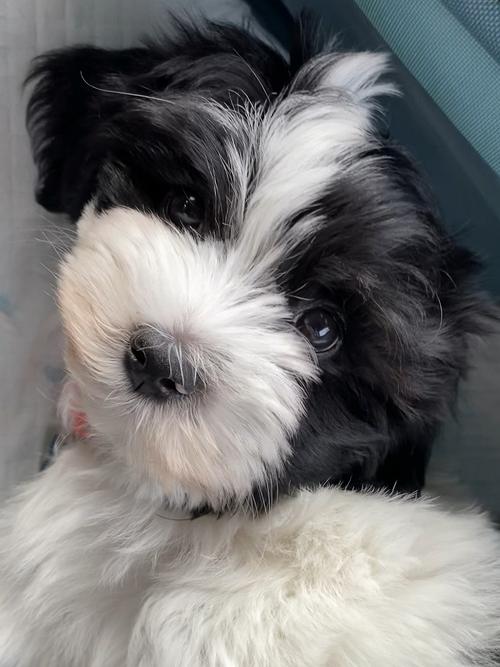 20221119195118_56206