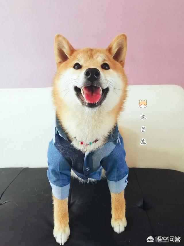 20221119200857_53297 20221119200857_53297