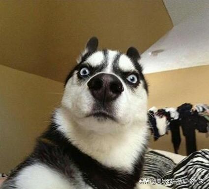 20221119201728_82661 20221119201728_82661