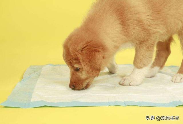 20221119202549_32029