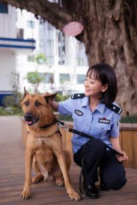 警犬类的电视剧大全(警犬类的电视剧大全的名字)-警犬训练器材厂家 _警犬训练用品_工作犬训练用品-南京开久警犬装备