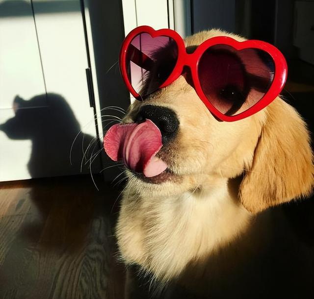 20221120091952_91793