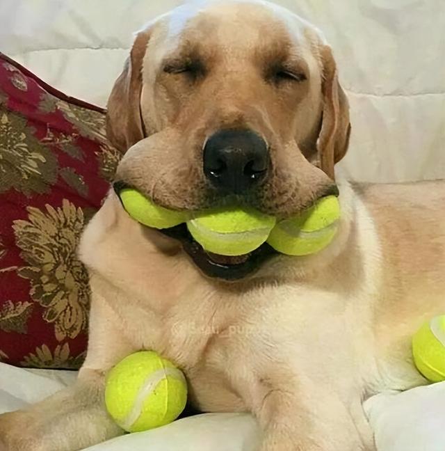 20221120091953_86377