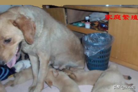 20221120094156_85459 20221120094156_85459