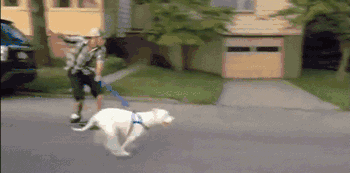 20221120102840_25660