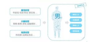 波士顿犬的优缺点，波士顿咨询法的优缺点-警犬训练器材厂家 _警犬训练用品_工作犬训练用品-南京开久警犬装备