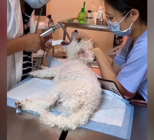 20221120115010_61896 20221120115010_61896