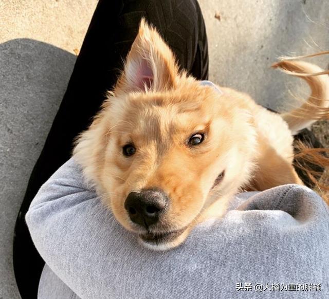 20221120115154_99942