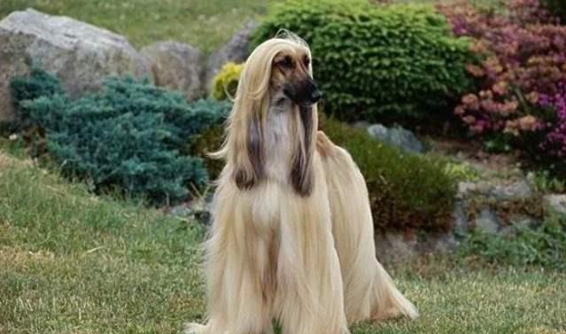 20221120134925_92995