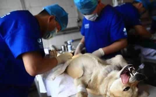 20221120150837_18283