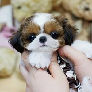 20221120152438_93314