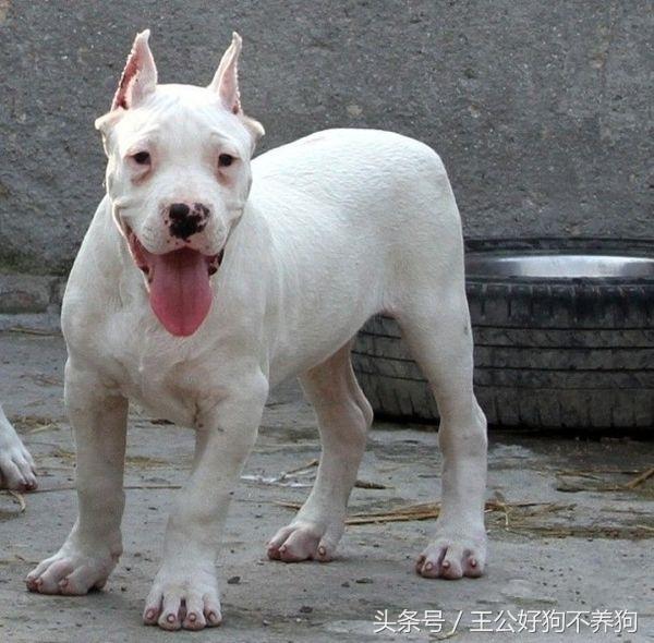 20221120153355_26624 20221120153355_26624