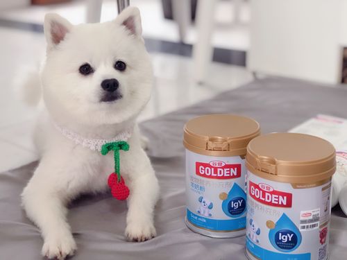 20221120172015_82304 20221120172015_82304