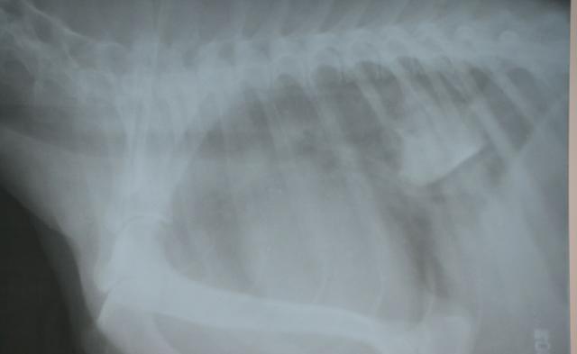 20221120172642_83773