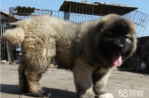 20221120183308_55470 20221120183308_55470