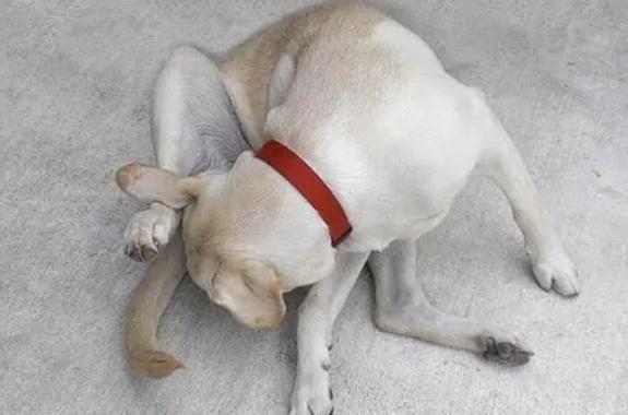 20221120190908_86396