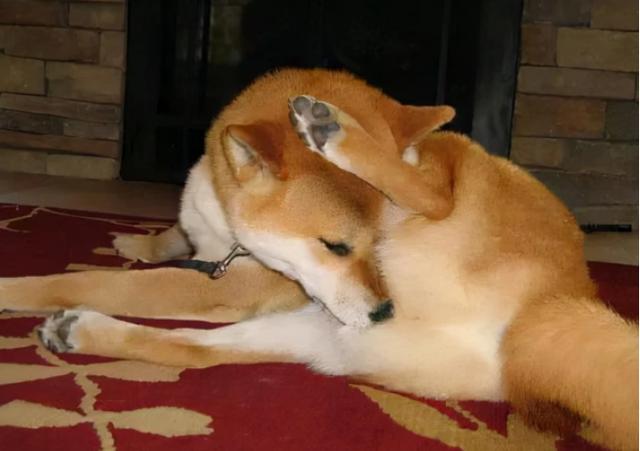 20221120190909_79354