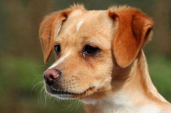 20221120194234_22537 20221120194234_22537