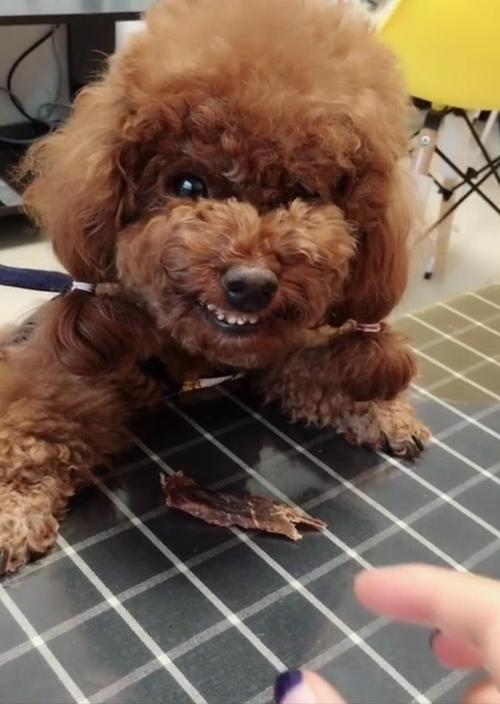 20221121092543_40577 20221121092543_40577