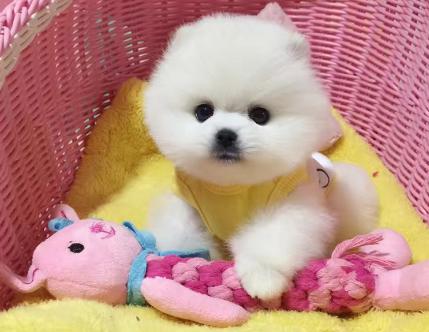 20221121100814_41950