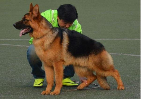 20221121101817_55733