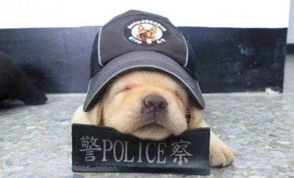 20221121121600_54402 20221121121600_54402