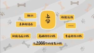 罗威士梗犬(罗威士梗犬聪明吗)-警犬训练器材厂家 _警犬训练用品_工作犬训练用品-南京开久警犬装备