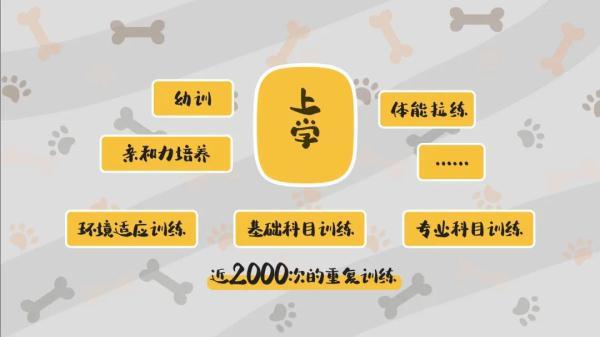 20221121121601_45991 20221121121601_45991