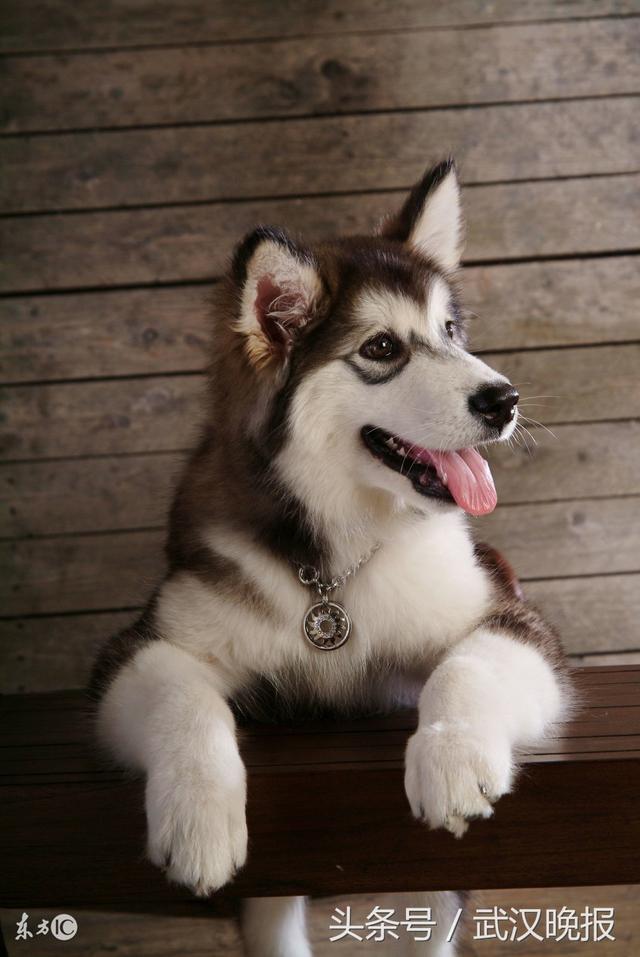 20221121121847_68530 20221121121847_68530