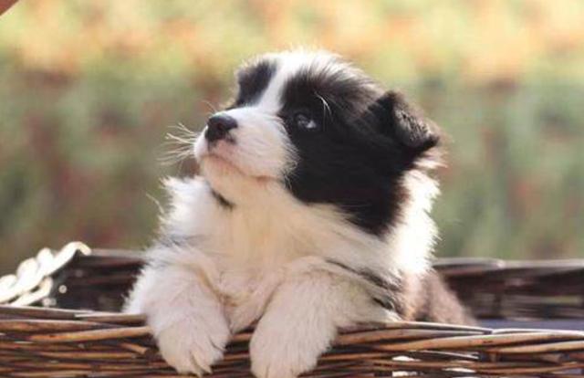 20221121151551_22989