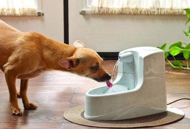 20221121151551_63361