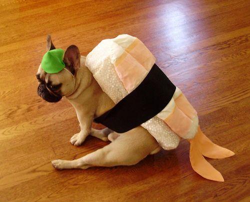 20221121155807_95282