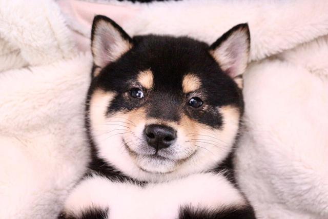 20221121163527_82585 20221121163527_82585