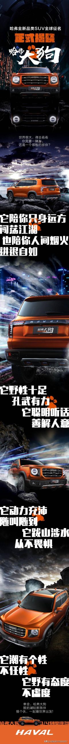 狗扯蛋是什么意思萌宠(虾扯蛋是什么意思) - 警犬训练器材厂家 _警犬训练用品_工作犬训练用品-南京开久警犬装备-警犬训练器材厂家 _警犬训练用品_工作犬训练用品-南京开久警犬装备