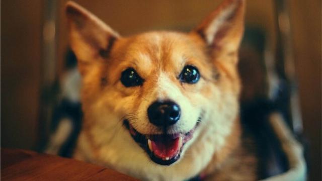 20221121185207_23187 20221121185207_23187