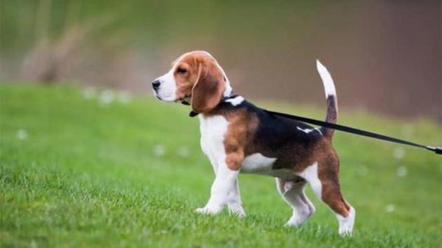 20221121185207_49457 20221121185207_49457