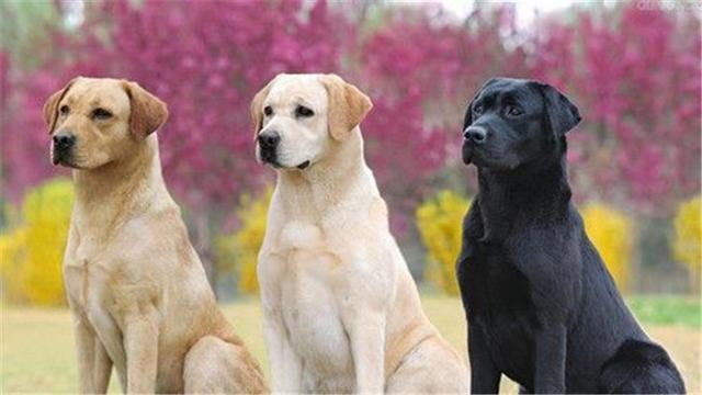 20221121185208_83511 20221121185208_83511