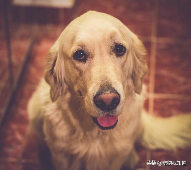 20221121190641_83594